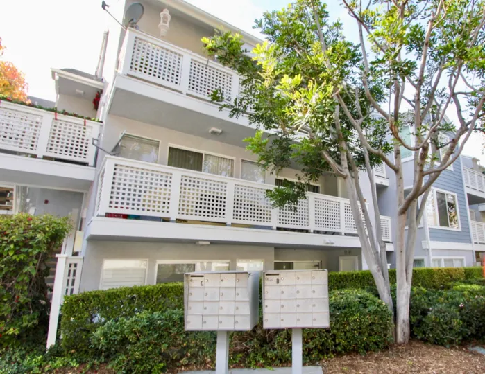 A sunny day in the Harbor Walk with a apartment behind a tree.