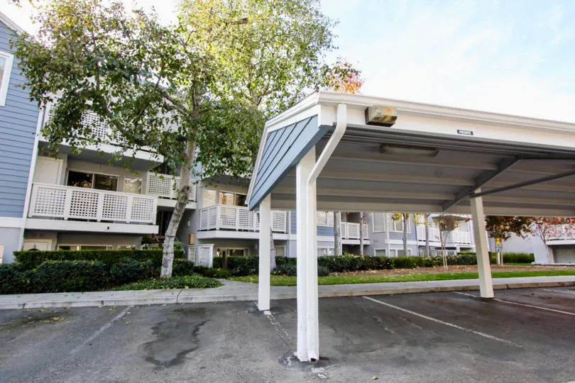 Marvelous Harbor Walk In Dana Point California Country