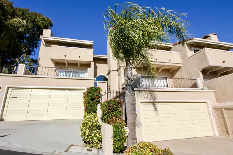 A bright day in the Monarch Bay Villas with a palm tree in front of a building.