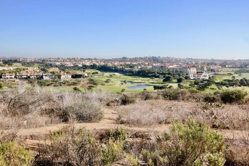 THE FIG TREE IN THE MONARCH BAY VILLAS WITH THE LAKE, GRASSLAND, TREES, FLATS