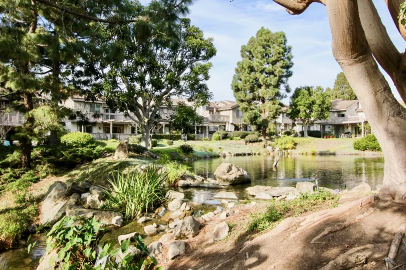 Beautiful Old Mill Pond In Dana Point California Country