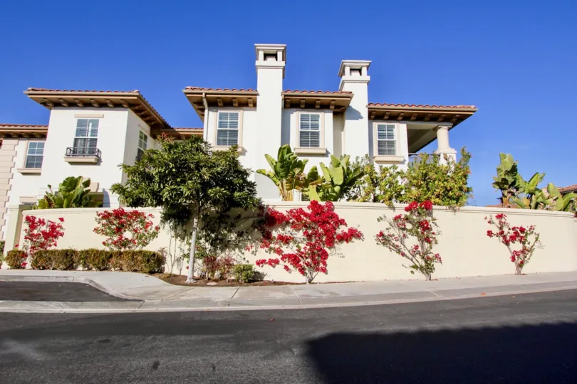 Plants has full of rose color flowers is attached to wall of villa in Pointe Monarch