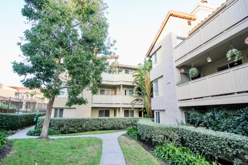 a warm day in the ritz pointe with a building that has tree in front and a path followed by the plants