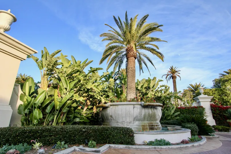 A bright day in the Sea Villas at St. Regis with some palm trees and a wall.