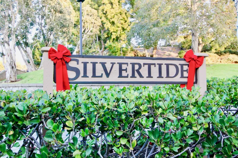 Withing the Bushes A board with Ribbon mentioned as Silvertide