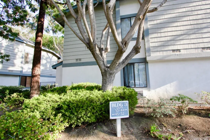 A day in the Spinnaker Run with a sign in front of a tree.