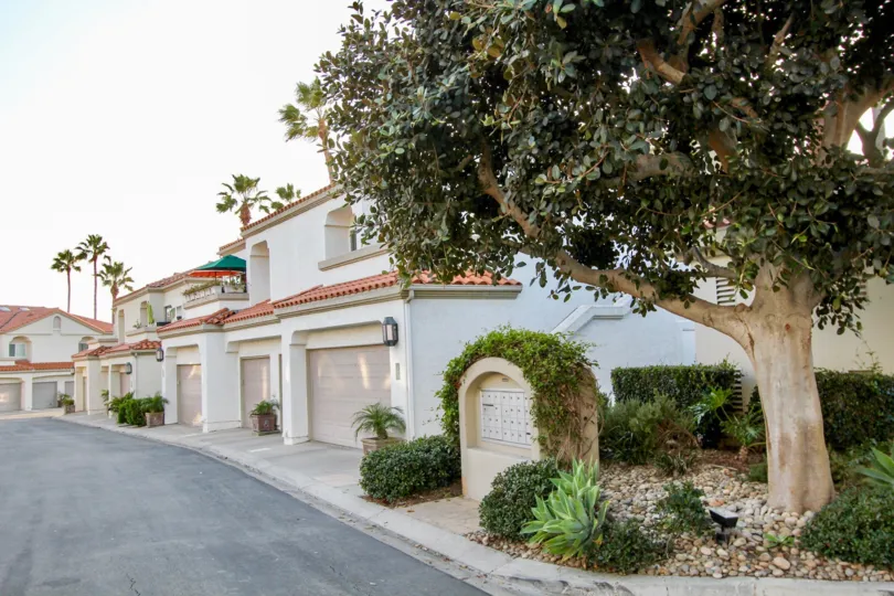 A beautiful day in the Tennis Villas with good climate and trees.
