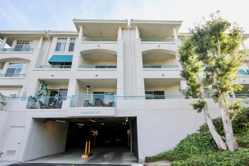 A sunny day in the Fountains at Sea Bluffs with an apartment and beautiful tree.