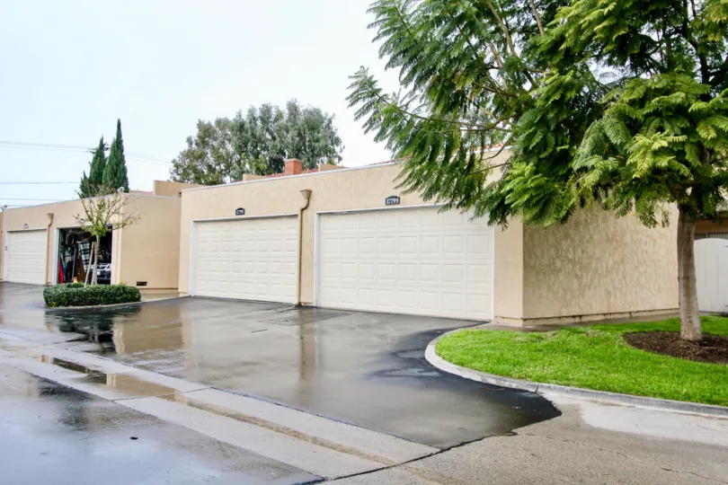 Green Valley Townhomes Fountain California wet floors reflects image and unique type of plants