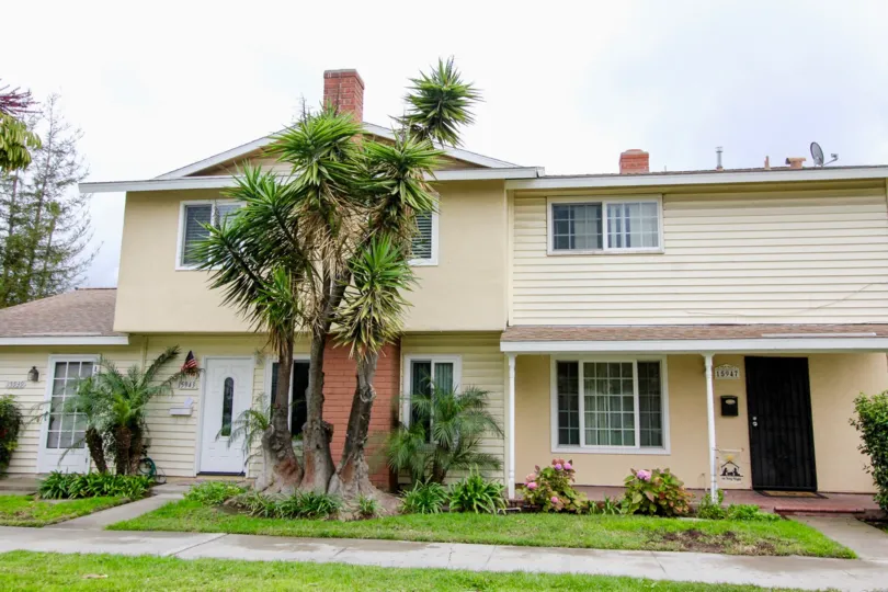 Palm tree in front of a residential home that is yellow in color in Harbor Valley community.
