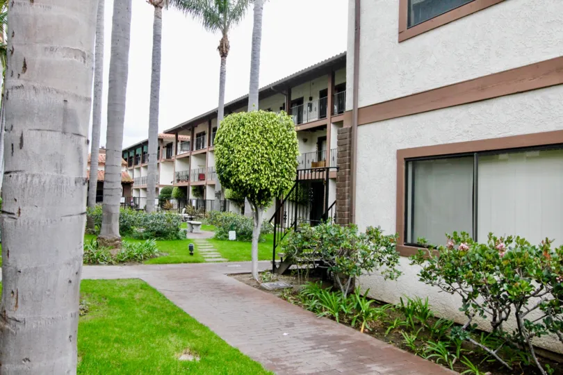 The rainy day in the Los Caballeros with line houses and grass gardens