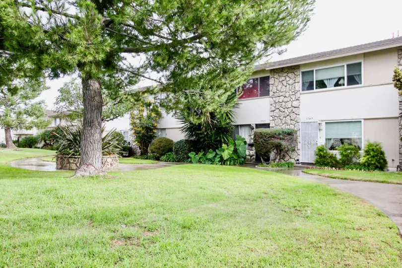 Paradise Manor Fountain Valley California big tree has dominated the house building near to it