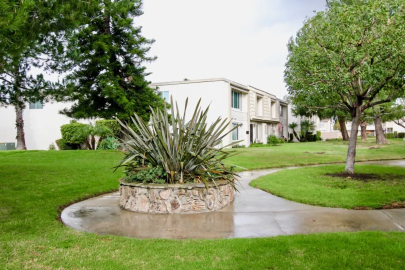 The rainy day in the Paradise manor with villas and grass gardens