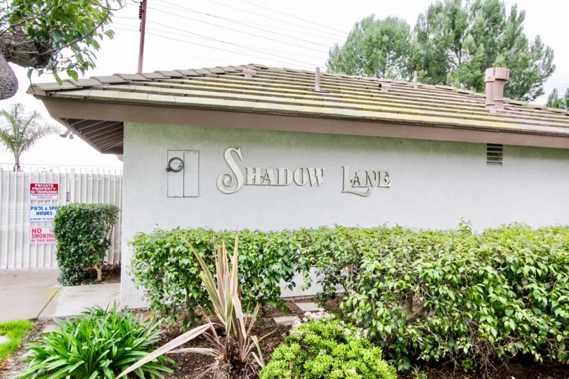 Shadow lane is marked in the wall with bushes, plants and tall trees