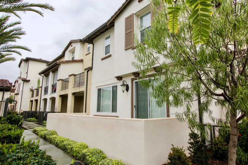 Multiple tree types and green plants lining the residential area in the Solana Walk community.