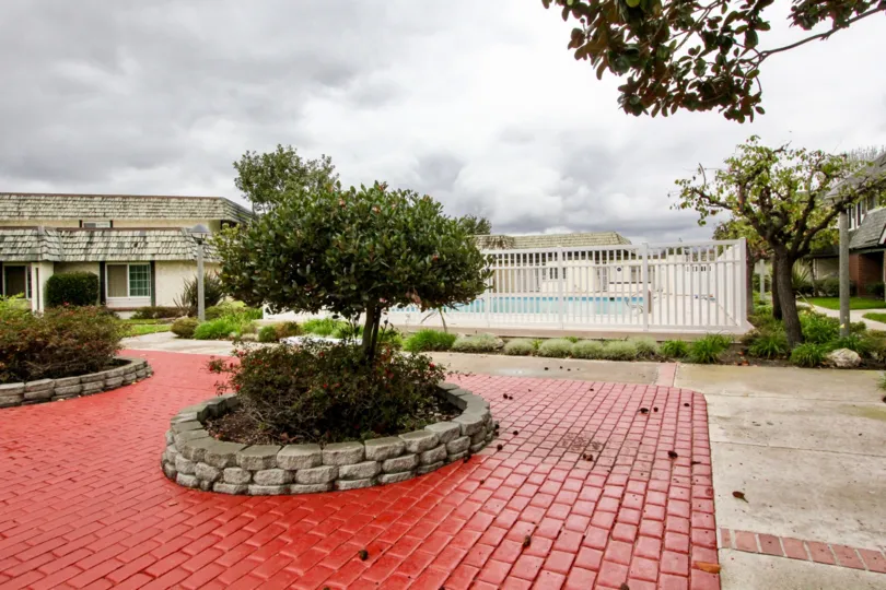 In The cloudy climate in tiburon North, Villa's with swimming pool, trees and bushes