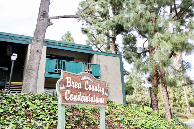 A great day in the Brea Country in front of a sign board and lamp.