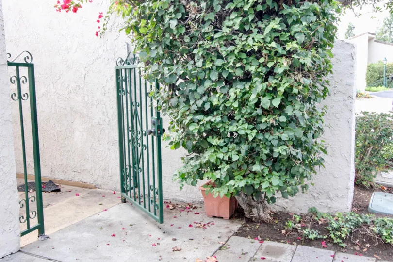 A gate to Casa Del Vista with a tree on a sunny day.