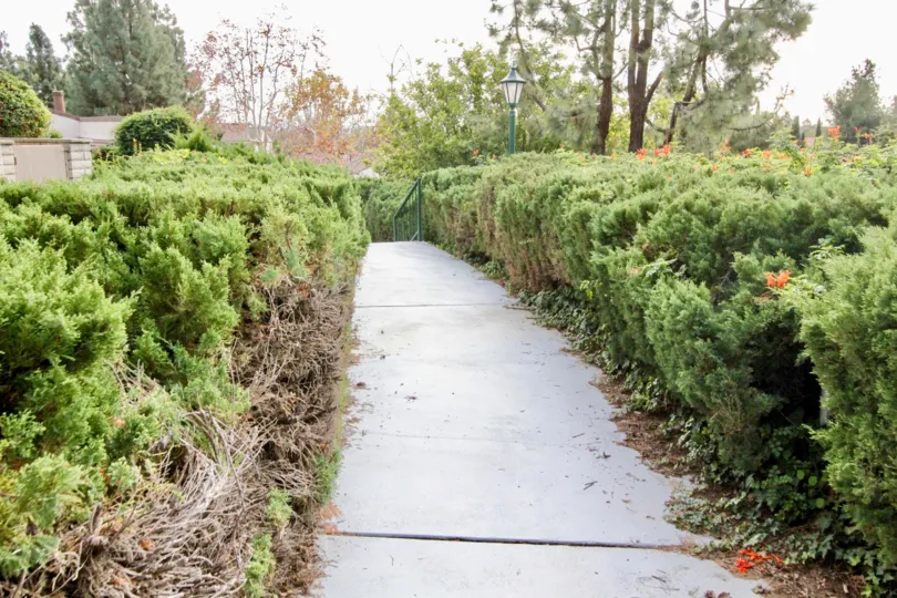 Sidewalk in Casa Del Vista with trimmed bushes and lamp posts.