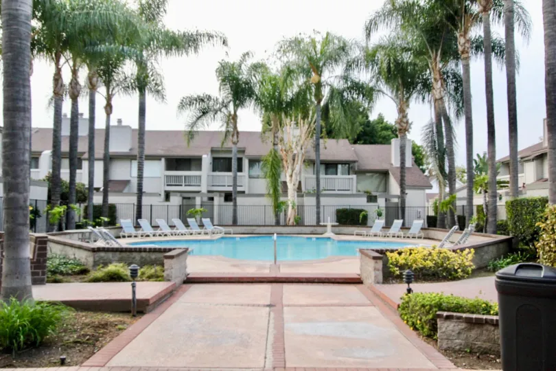 The pool in Chapman Villas with deck chairs and trees surrounding it.