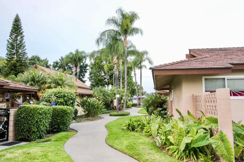 A great day in the Coco Palms with a path through the garden.