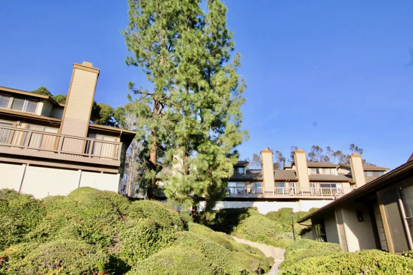 Residences sit high on a hill with lots of bushes leading up to it in Coyote Hills Greens community.