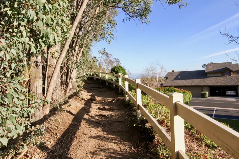 Coyote Hills Greens Fullerton California forest like appearance with thick dark colored trees in linear path