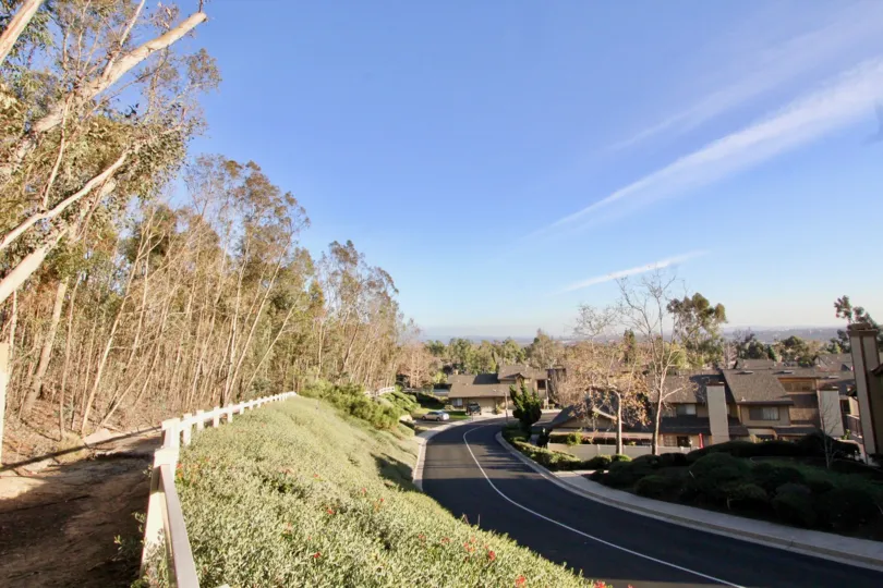 A street in the Coyote Hills Greens with trees and grass on a sunny day.