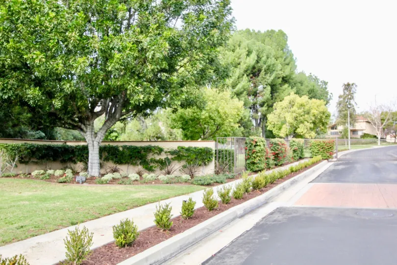 A sunny day roadside in the Fairway Village of Fullerton, California