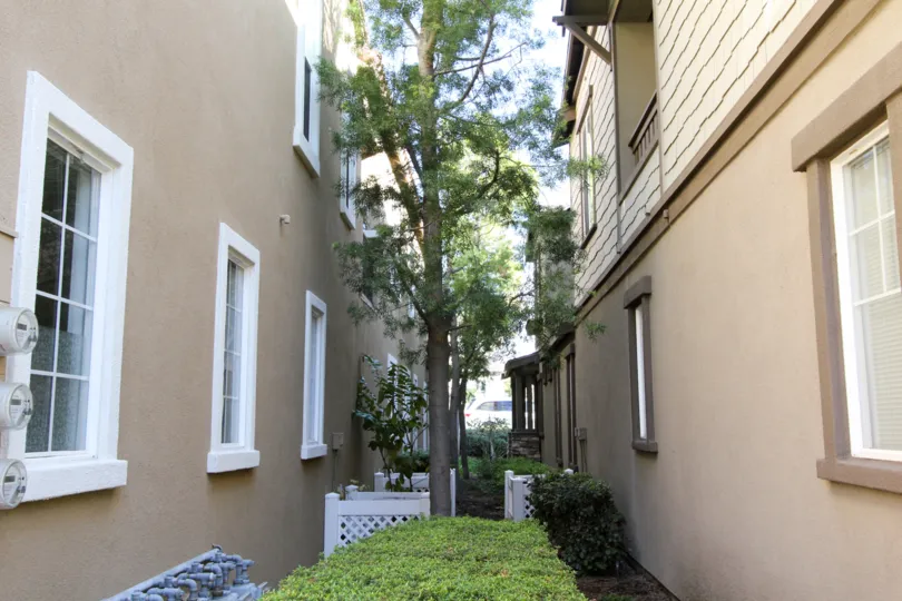 a space between two buildings that have plants at gallery walk community in fullerton, california.