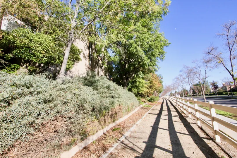 Both side of road in Gilbert Vista has trees and spaces between these trees are looks like similar