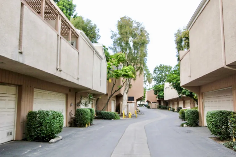 The white and grey color big buildings near the hilly area in the Crawford Hills with the beautiful ornamental plants, trees near the road.