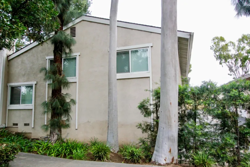 A beautiful grey house in the Green Tree with ornamental trees, big trees and shrubs infront of that house.