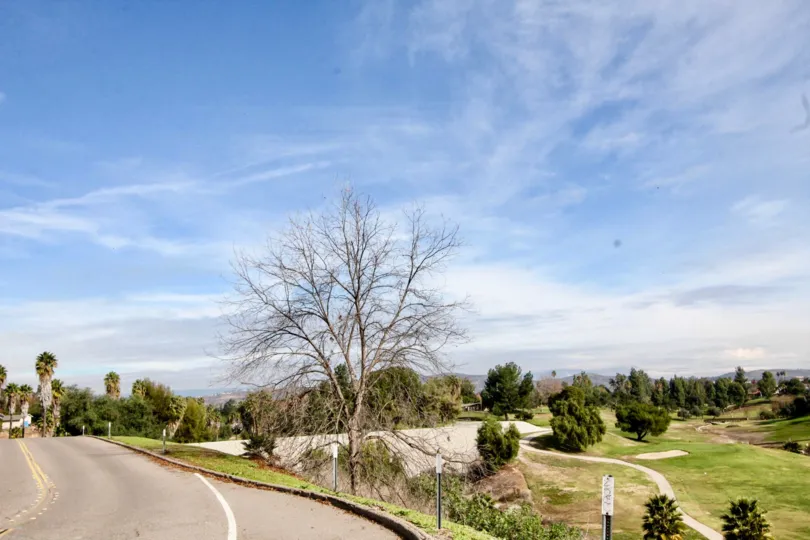 A bright day overlooking green grass and lots of trees in the community Greenview Terrace.