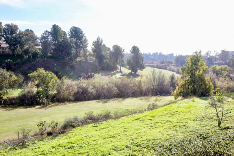 A large open area off trees and grace in the greenview terrace community in fullerton, california.