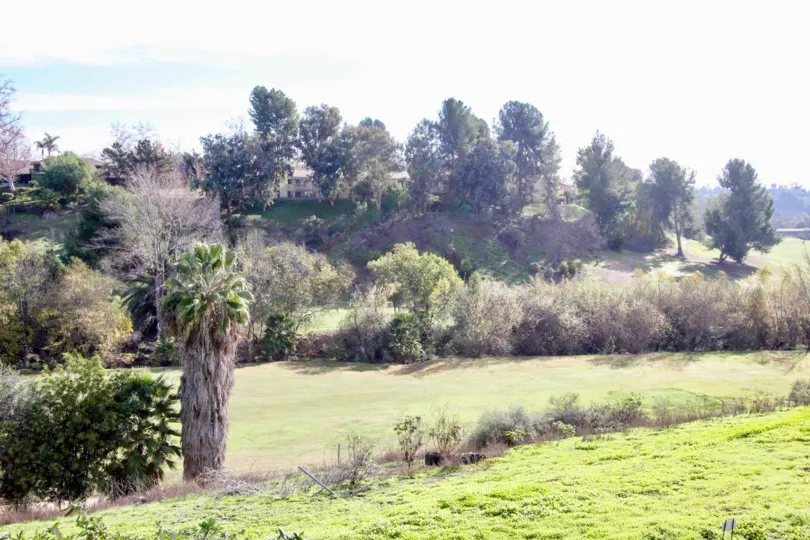 An open area of a beautiful lanscape in the Terrace community