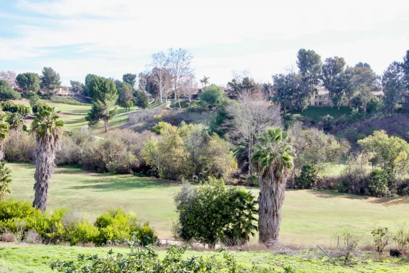 View from the Greenview Terrace with palm trees and other plants on a cloudy day.