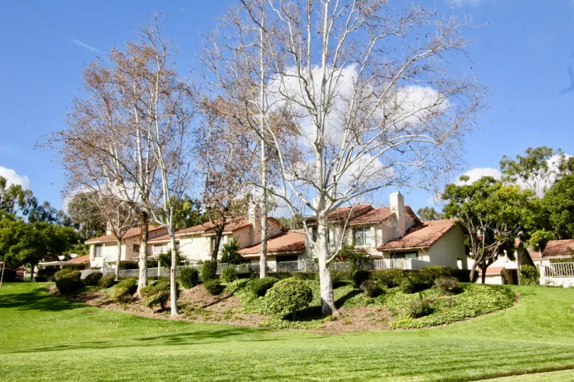 Malvern Creek Fullerton California tall trees before house dominates the short buildings