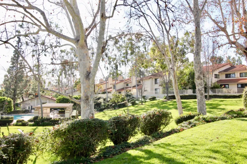 A park in the Malvern Creek community with trees and bushes.