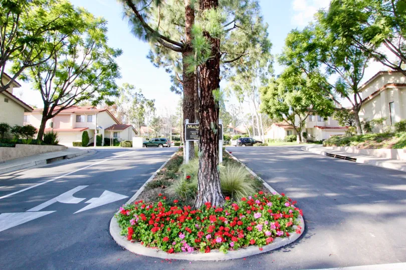 The nature of a tree and small flowers are under the trees with different colors and looking beautiful at the centre of apartments.