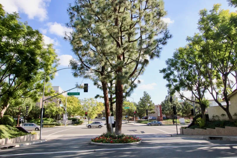 A sunny day on the road in Malvern Creek in Fullerton California