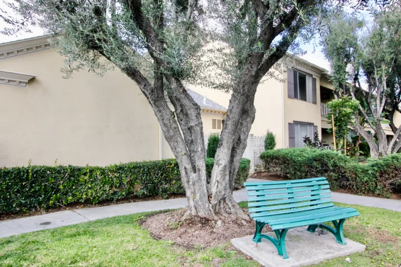 A sunny day in the park of Meredith Manor in Fullerton, California