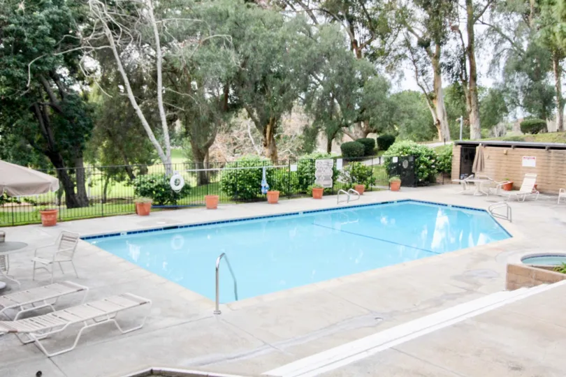 A pool in the Park Vista community with potted plants and deck chairs.
