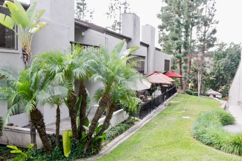A group of green healthy palm trees sit outside of Park Vista in Fullerton CA