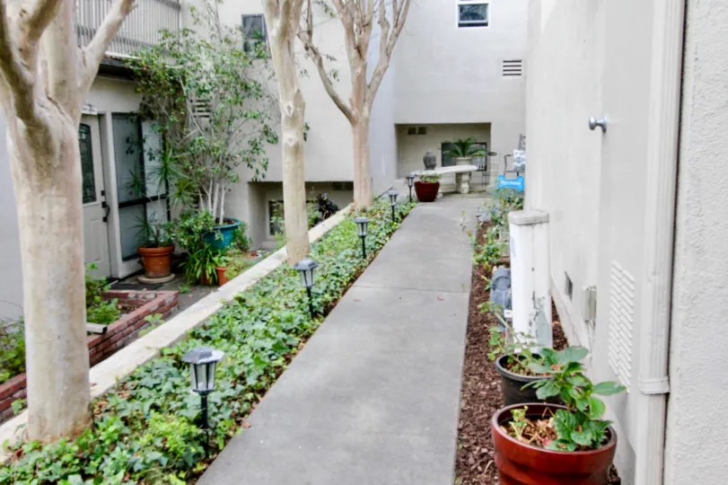 Park Vista Fullerton California compound sides having rare kind of flowery plants nice to look