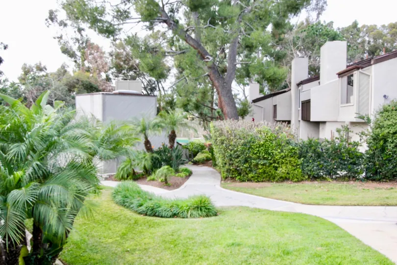 Big trees are growth near the pathway at backside of house in Park vista