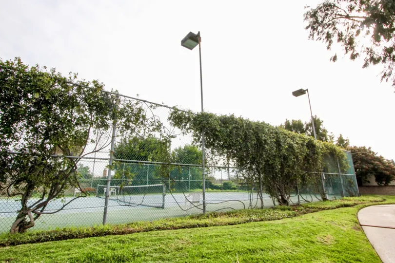 Fence of the tennis court is covered with bushes with light lamps and lawn in Stone Pine Estates