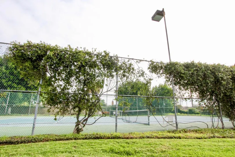 Tennis courts of the Stone Pine Estates community with a fence and trees.