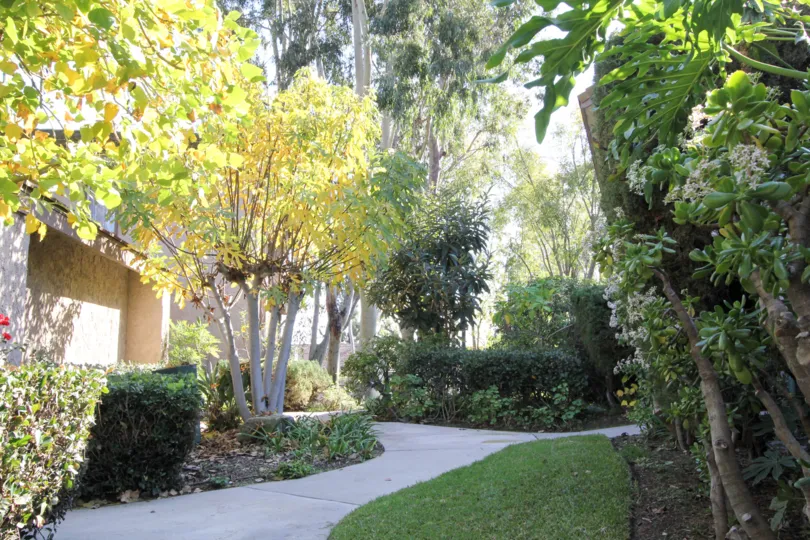 Sunny Ridge Townhomes Fullerton California like garden house fully covered with colored plants