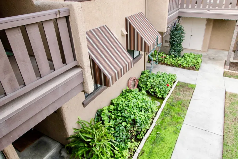 Aerial view of a Via Valencia sidewalk with assorted plants.